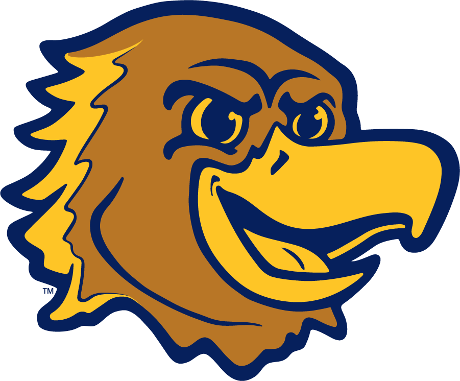 Marquette Golden Eagles 2020-Pres Mascot Logo diy iron on heat transfer